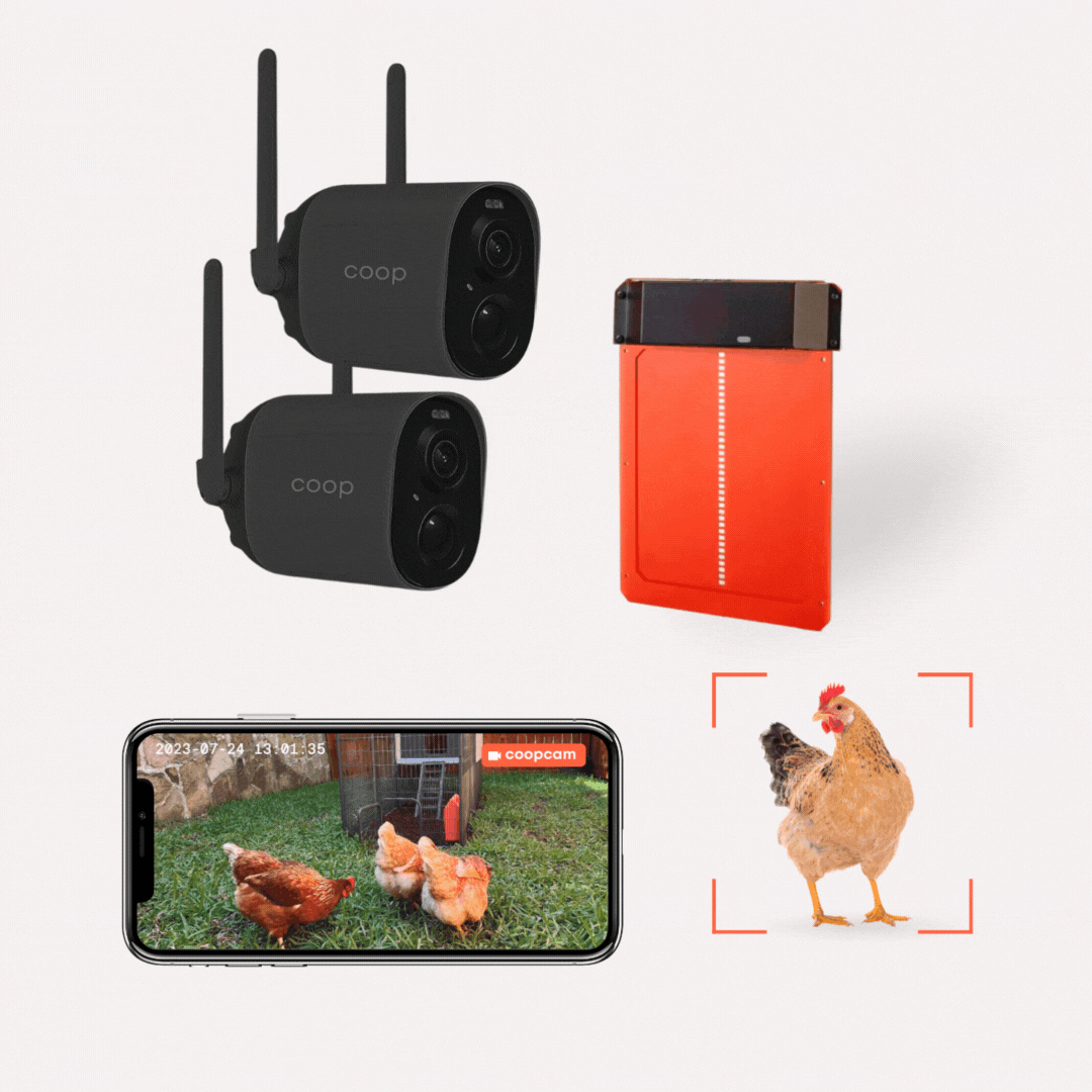 Cluck, Cluck! Meet the Smart Coop Kit! 🐔