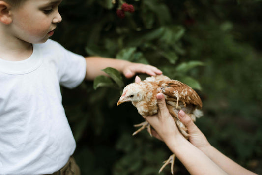 What to Expect When Youre Eggspecting