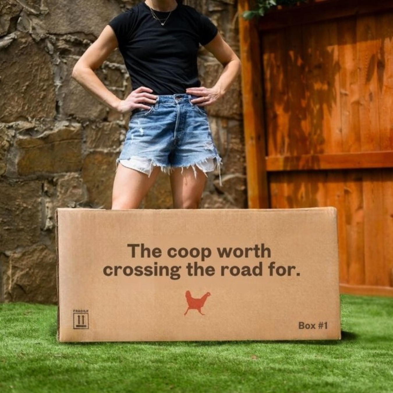 Coop Team Picks