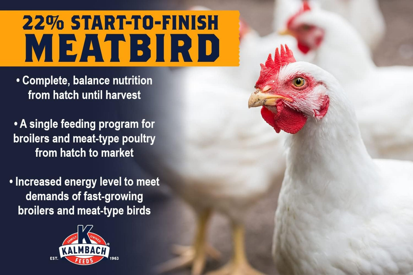22% ALL Natural Start to Finish Meatbird Crumbles - 10 lb