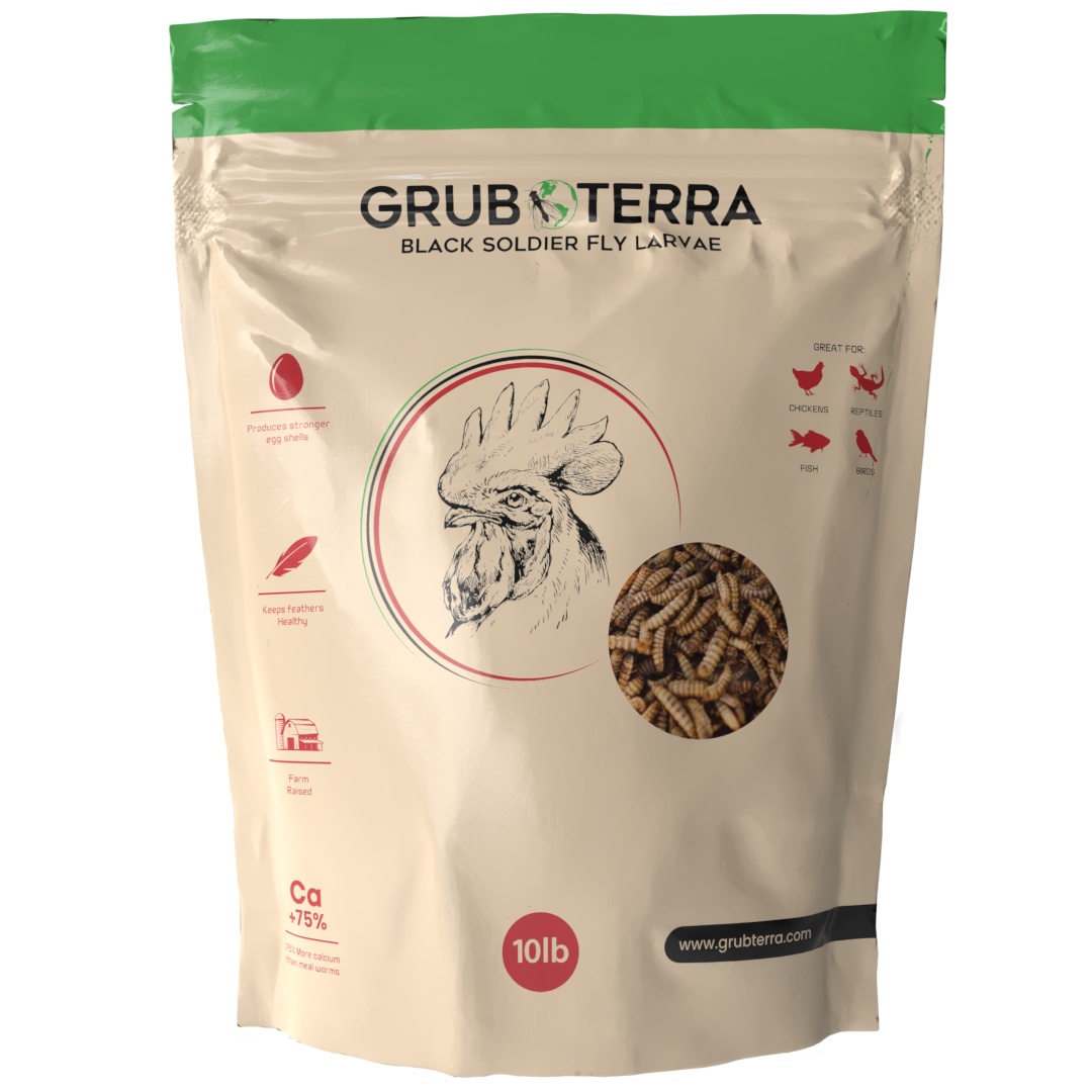 GrubTerra Dried Black Soldier Fly Larvae 10lb