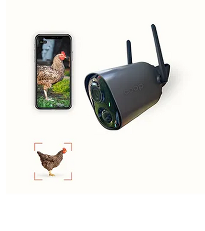 Smart CoopCam