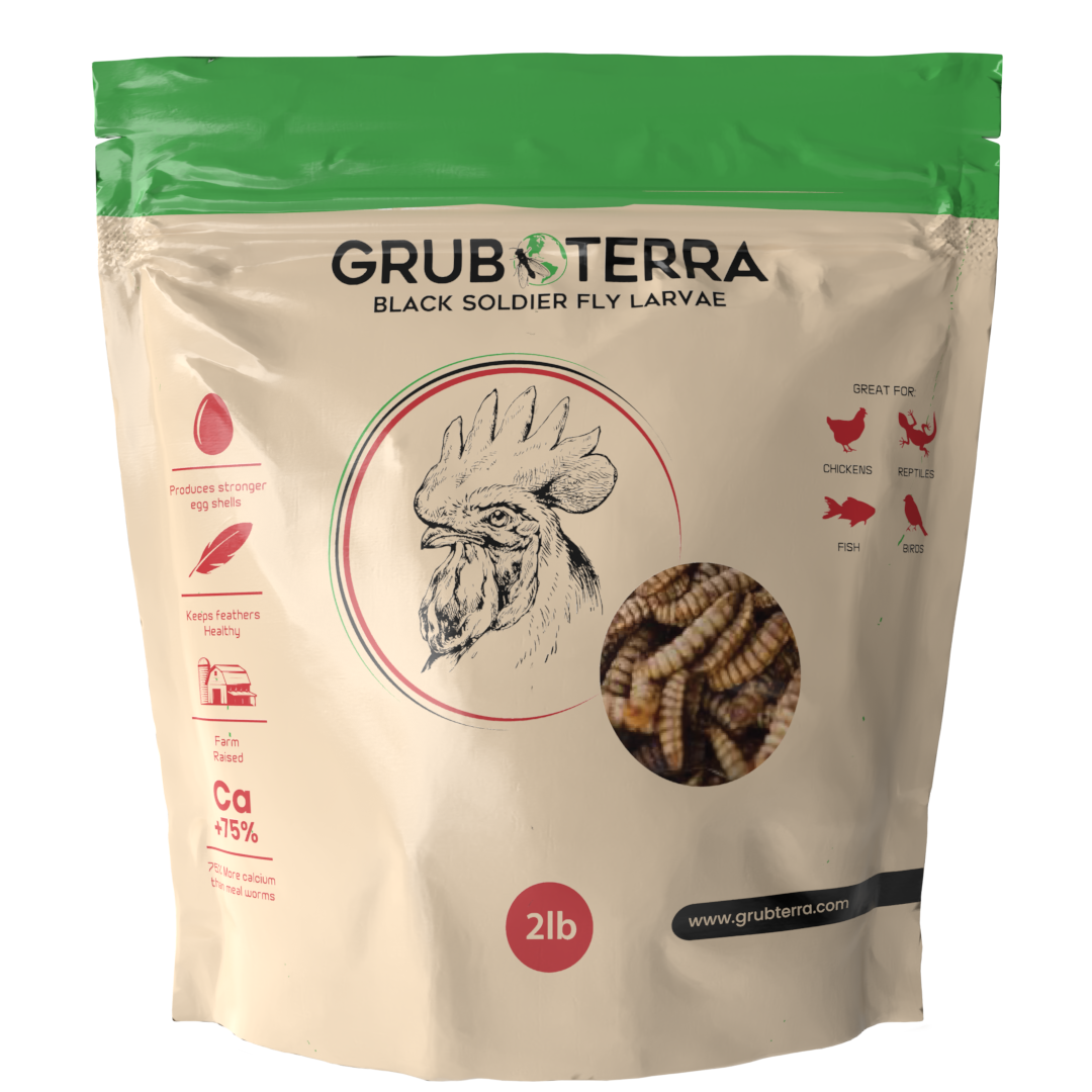 GrubTerra Dried Black Soldier Fly Larvae 10lb