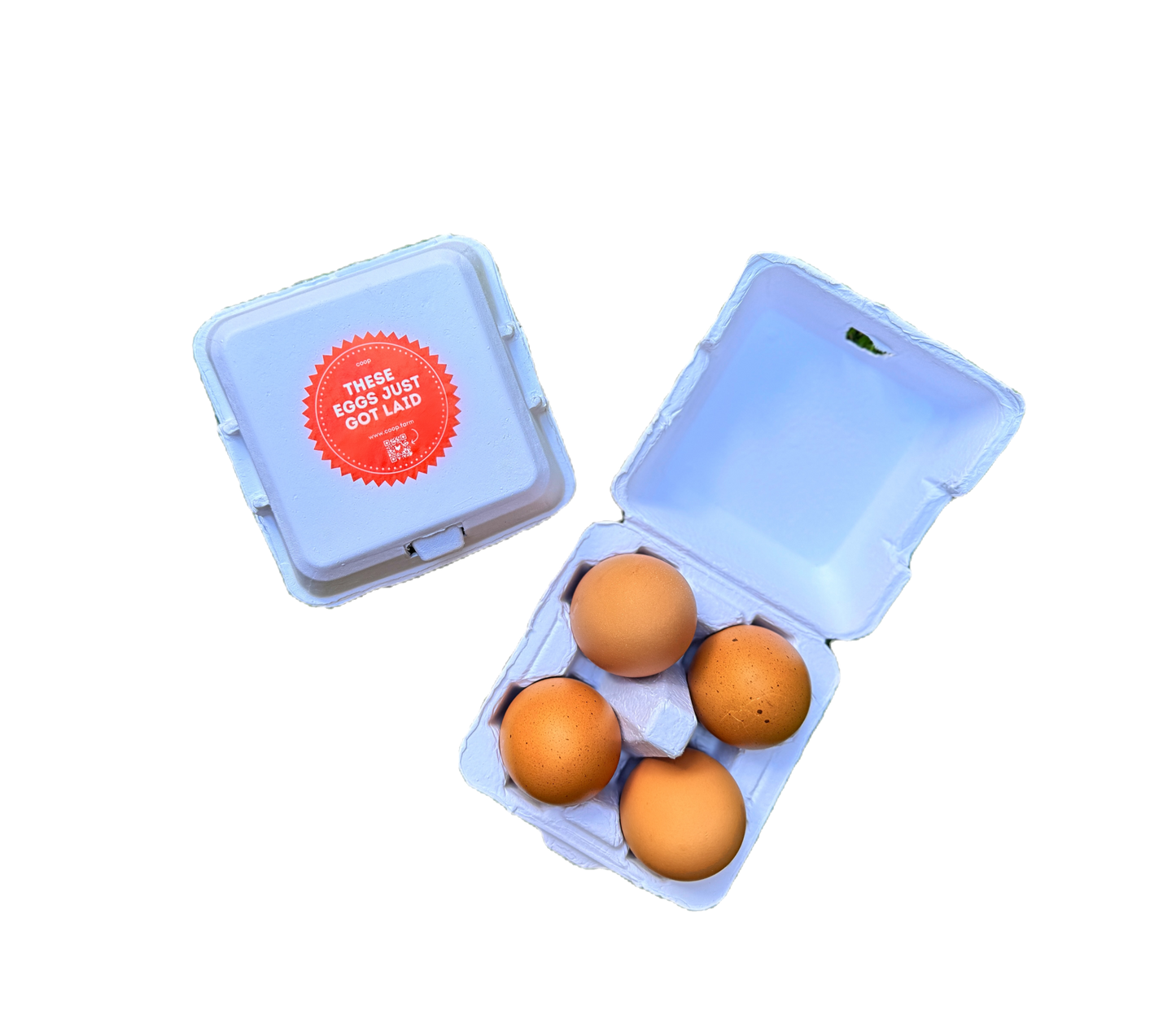 "Just Got Laid" 4-Egg Carton image 0