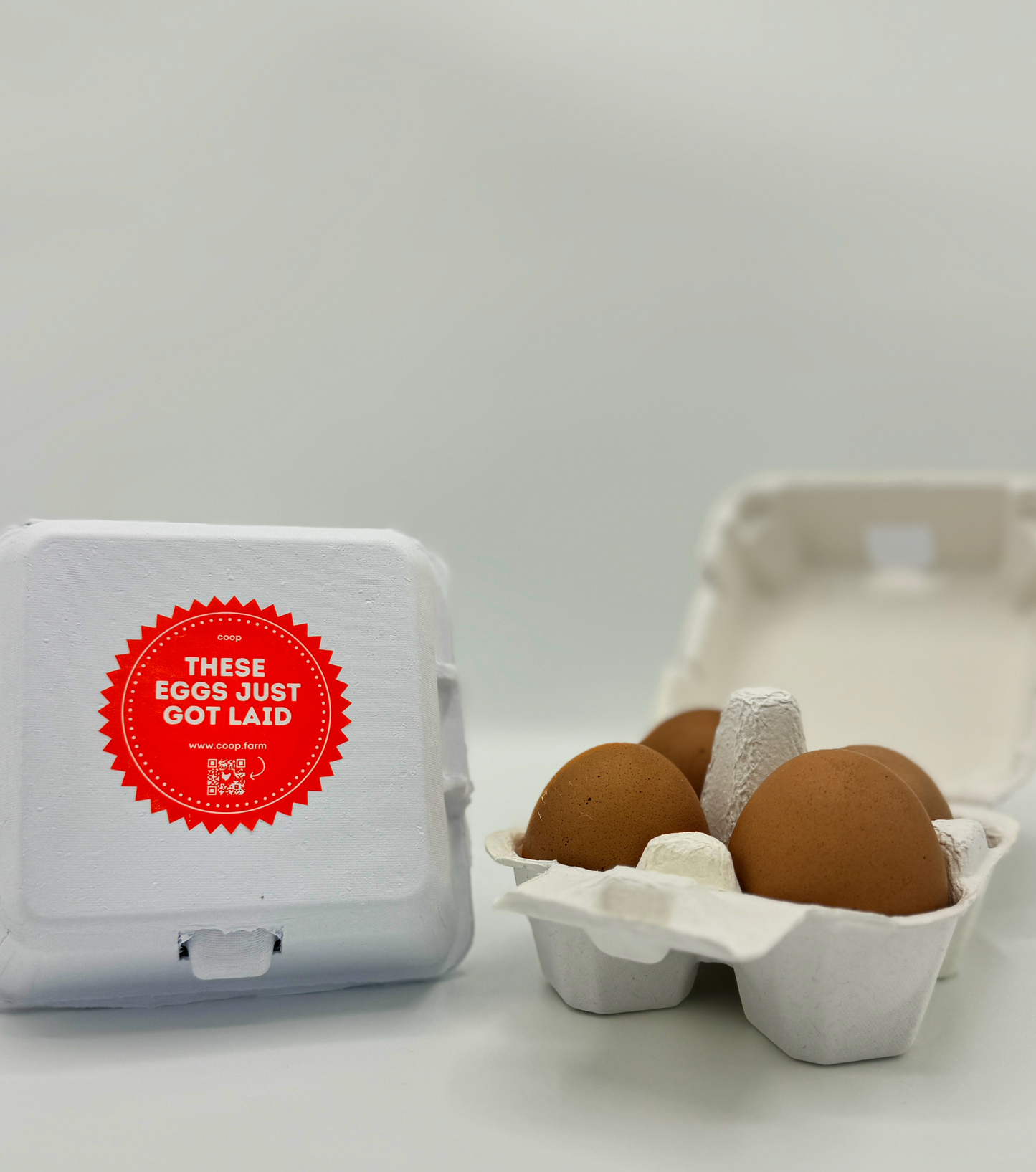 "Just Got Laid" 4-Egg Carton image 5