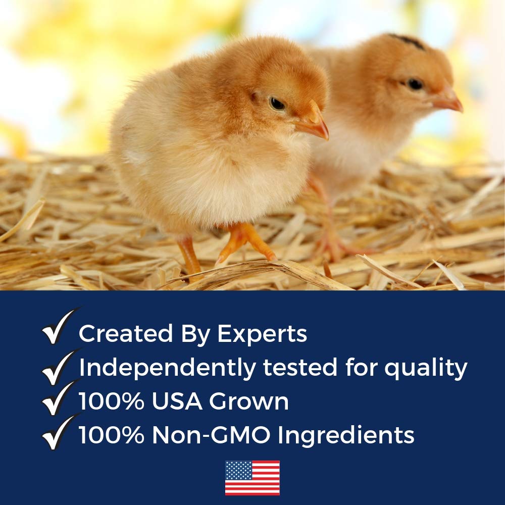 Herbal Non-GMO Chick Starter & Grower Feed With Oregano & Garlic For Baby Chicks