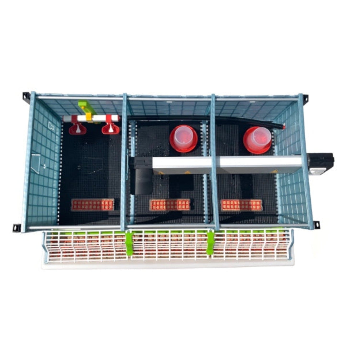 Chick Brooder - 1 Layer H: 9.5"