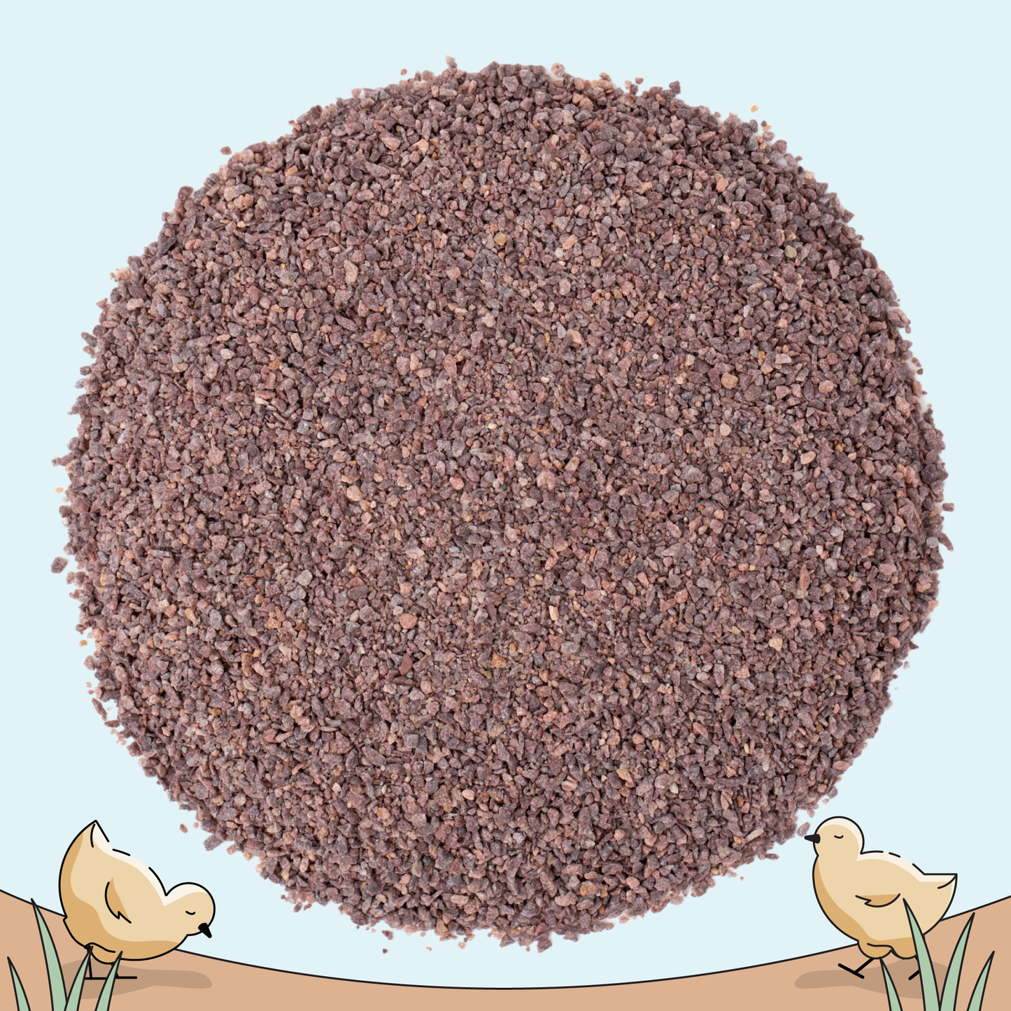 Starter Feed Kit | 8 Weeks of Organic Feed & Grit for 10 Chicks