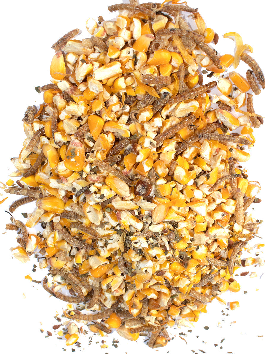 Poultry Queen Mealworm, Non-GMO Corn, Non-GMO Flax, & Herb Treat For Pet Chickens