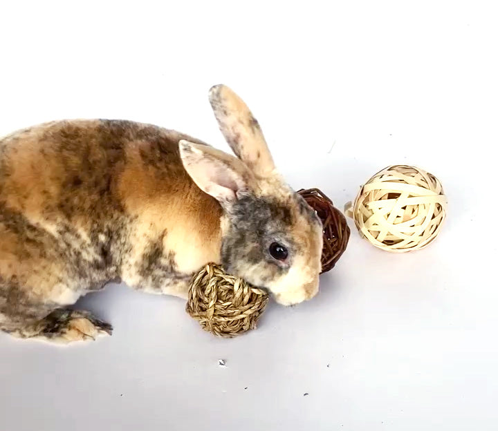 All Natural Grass Balls for Rabbits and Small Animals