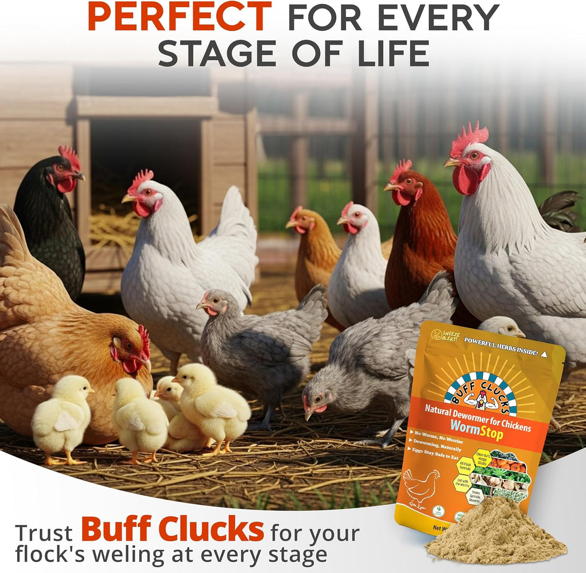 WormStop β Natural Dewormer for Chickens