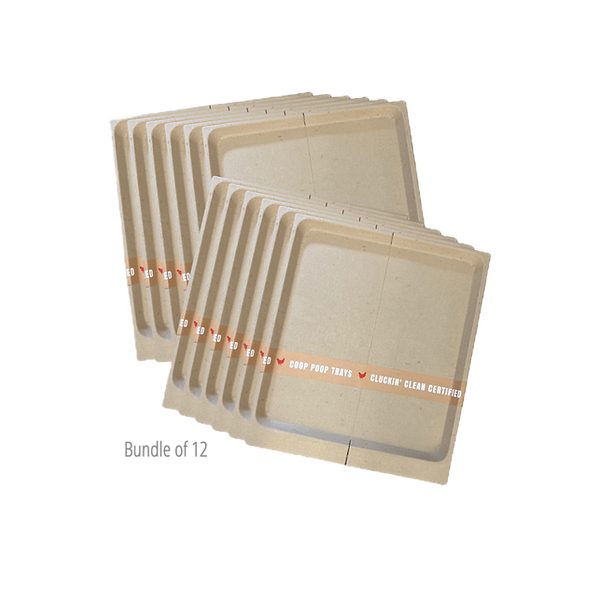 Power + Protect Bundle: image 1