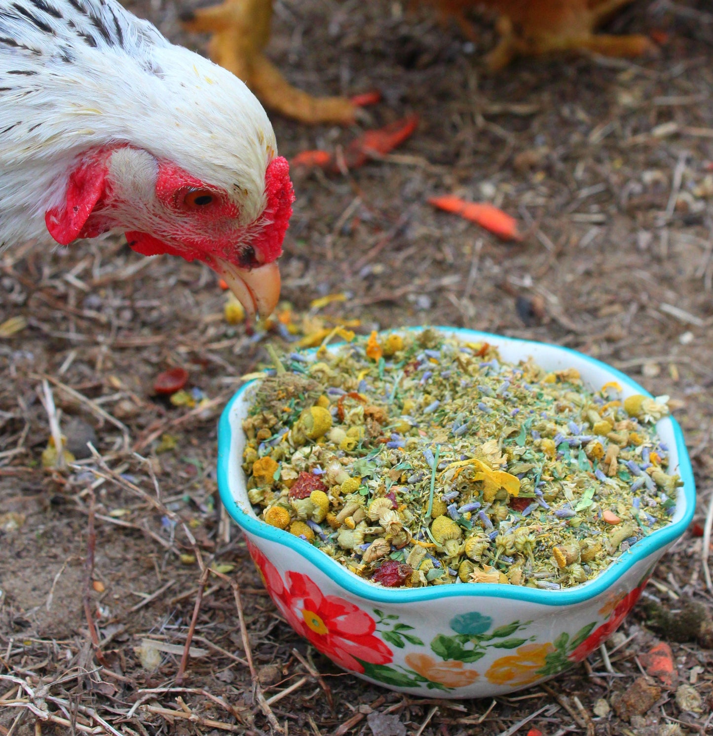 Scent of Spring Nesting Herbs For Backyard Chickens With Lavender, Chamomile, Calendula, and more!