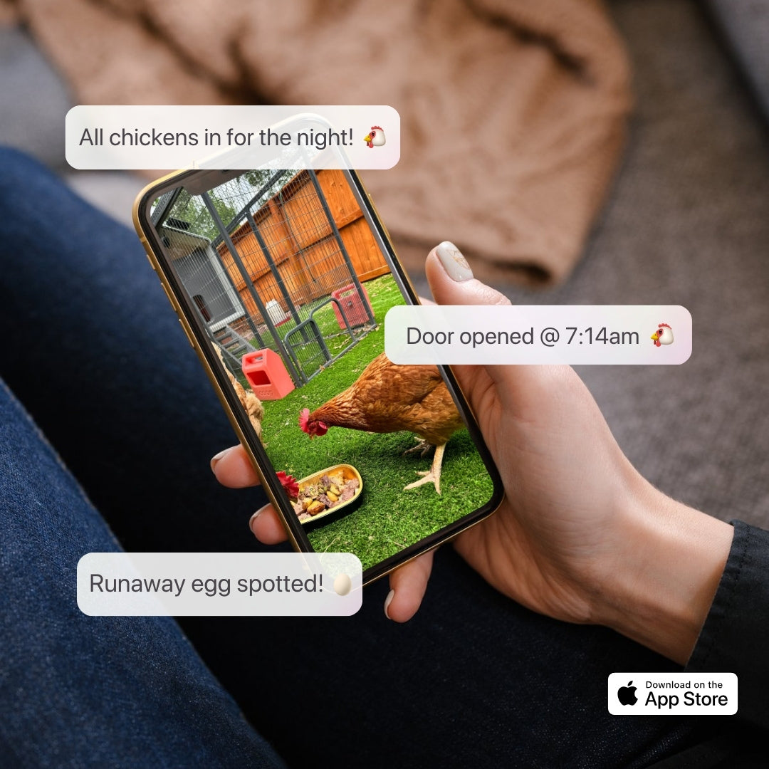 The Smart Coop + Base (+ Free Chicks! š£)