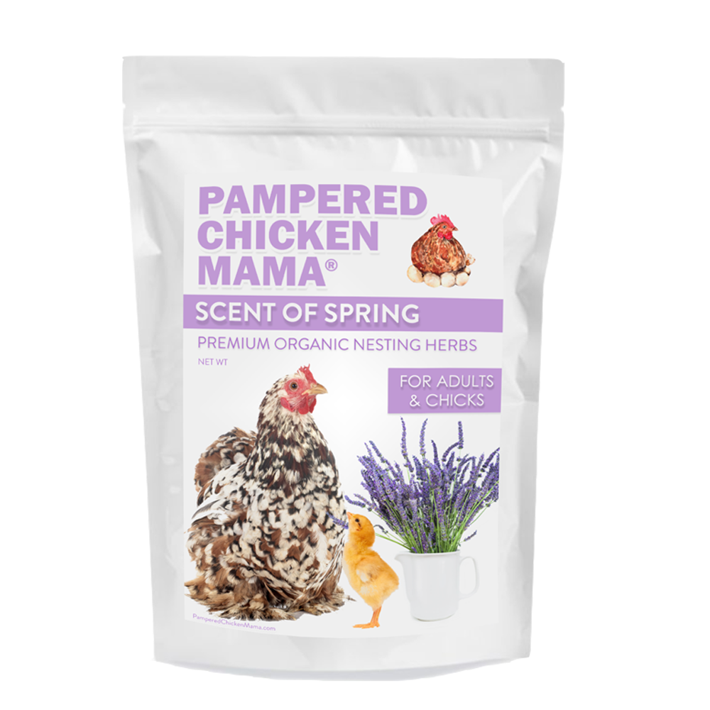 Scent of Spring Nesting Herbs For Backyard Chickens With Lavender, Chamomile, Calendula, and more!