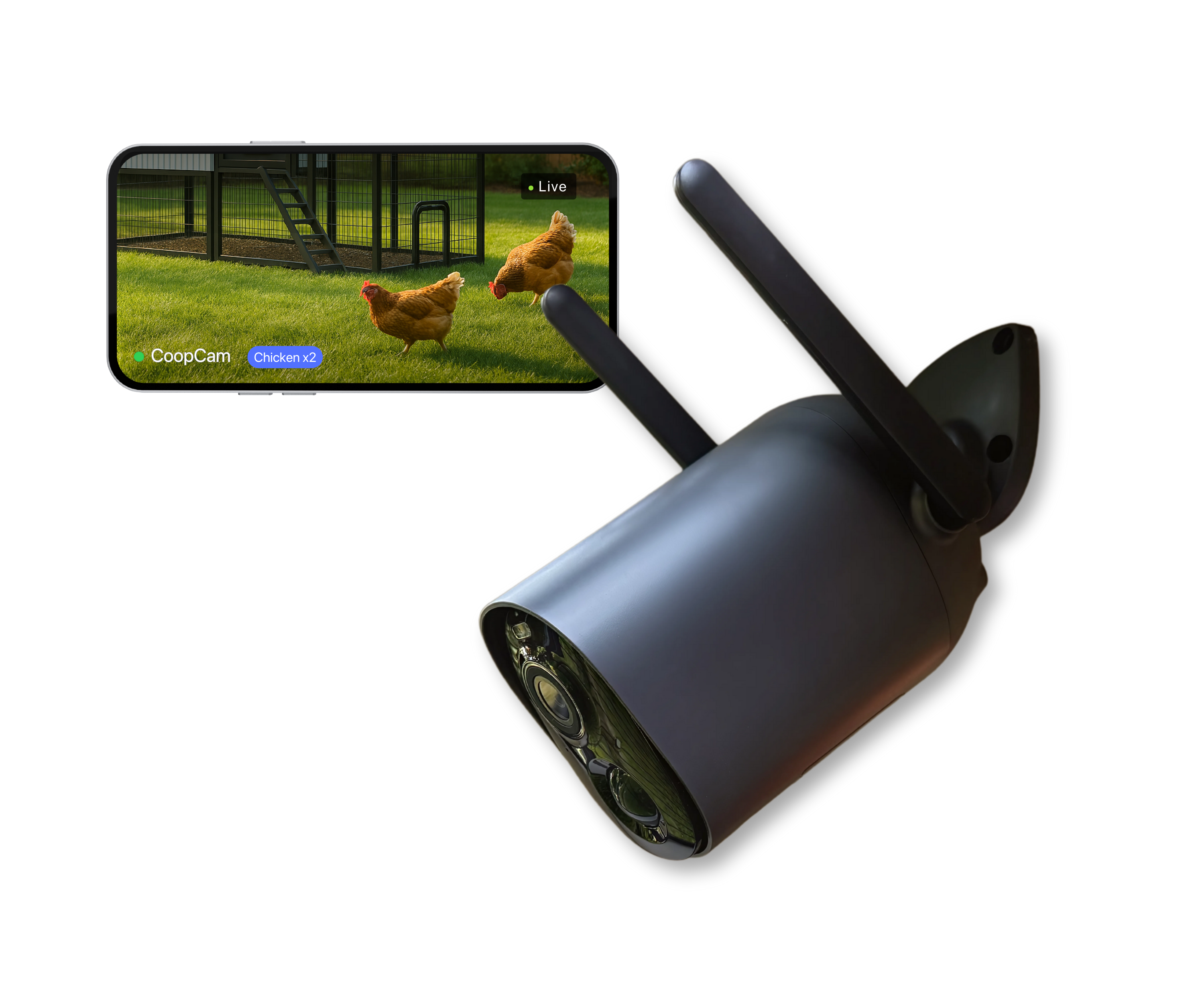 Smart Chicken Coop Camera | AI-Powered 1080p WiFi Camera with