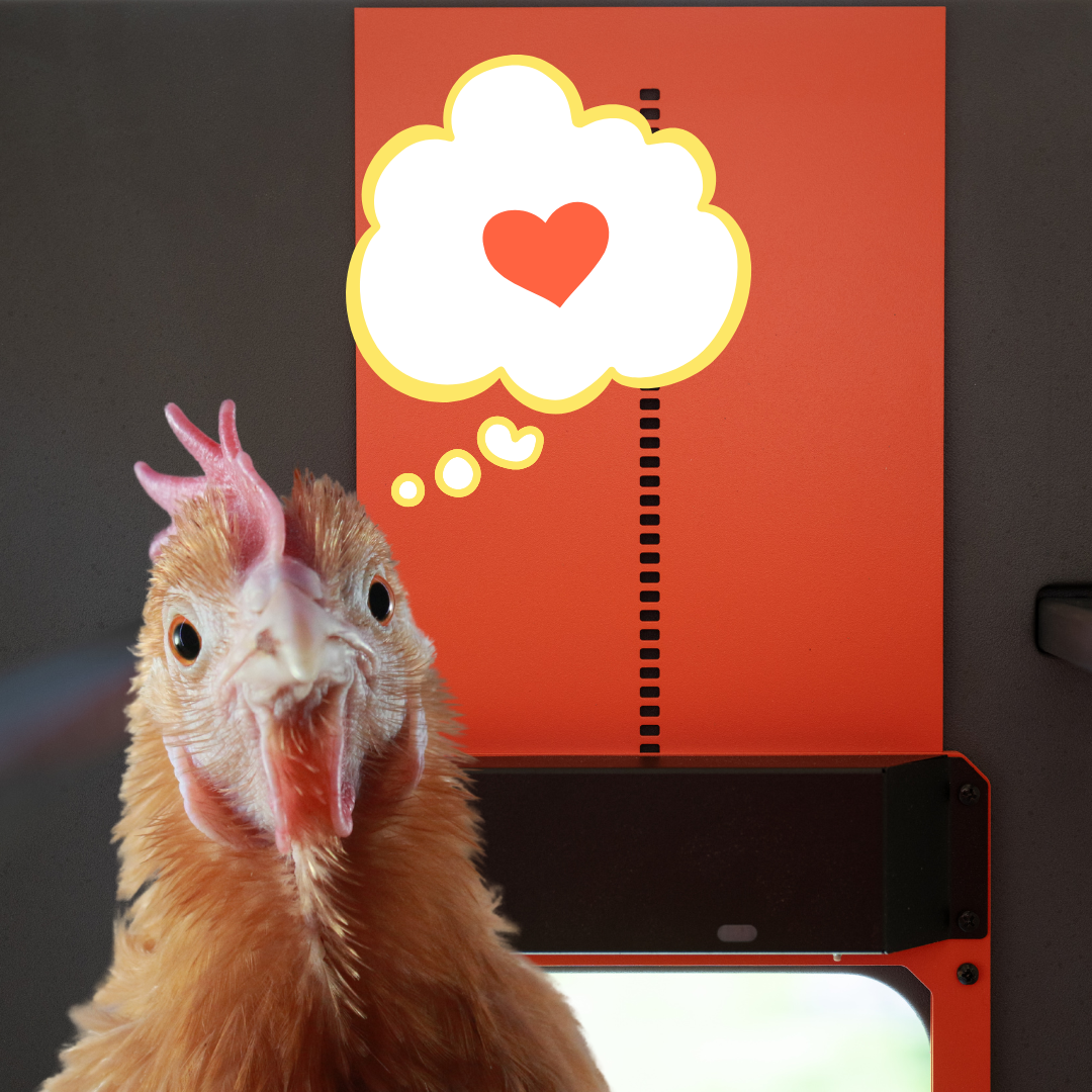 3 Signs Your Coop Door Needs a Battery Swap (and How to Do It)
