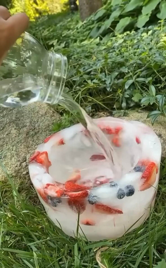 Chill Chicks: How to Keep Your Flock Cool, Fruity, and Frolicking!