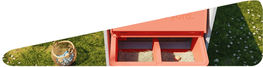 🐥 Why Chick Availability Drops in Fall — and Why Now’s the Best Time to Start Your Floc