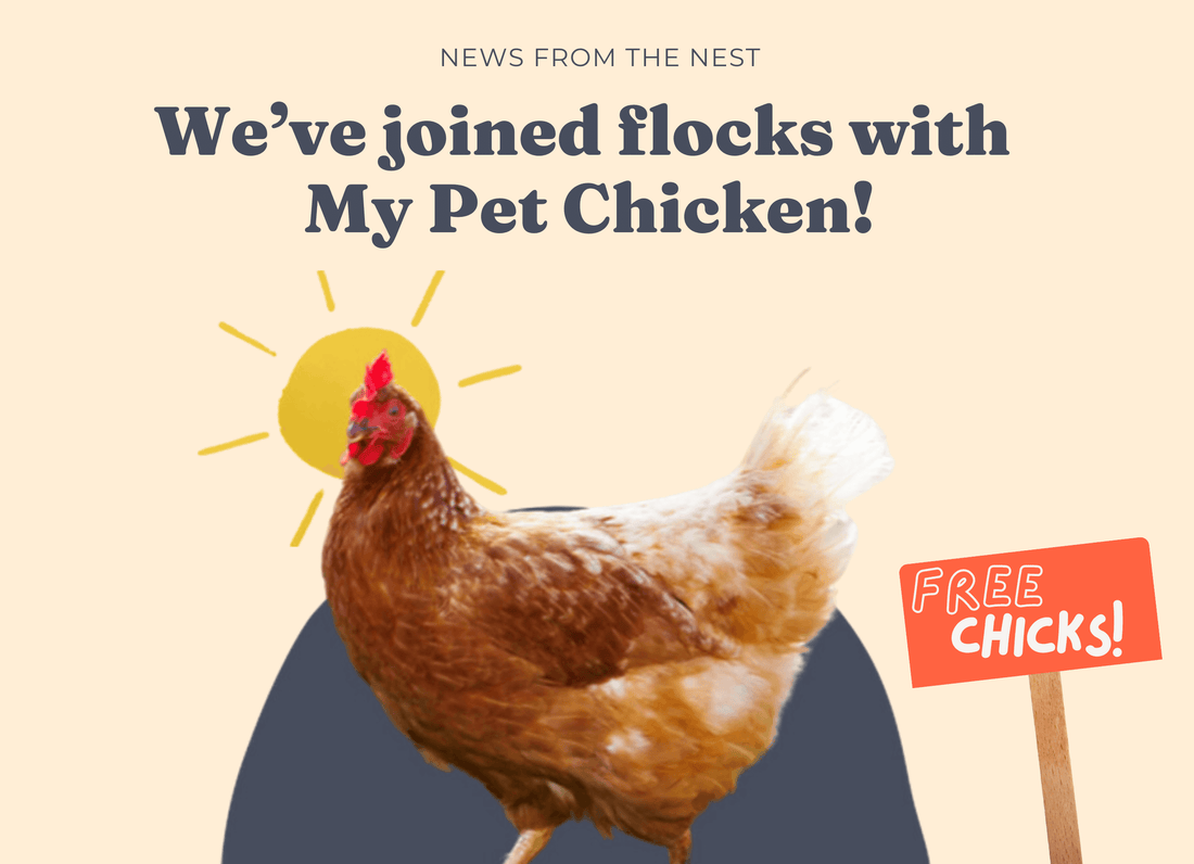 You buy the Coop, we buy the chicks.