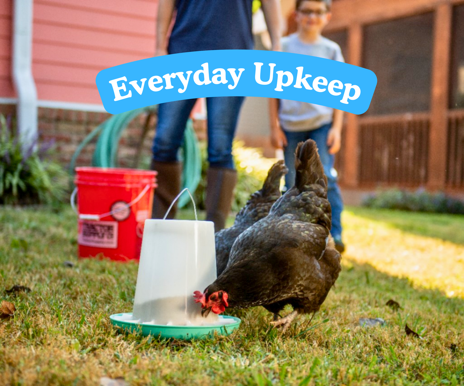 Everyday Upkeep