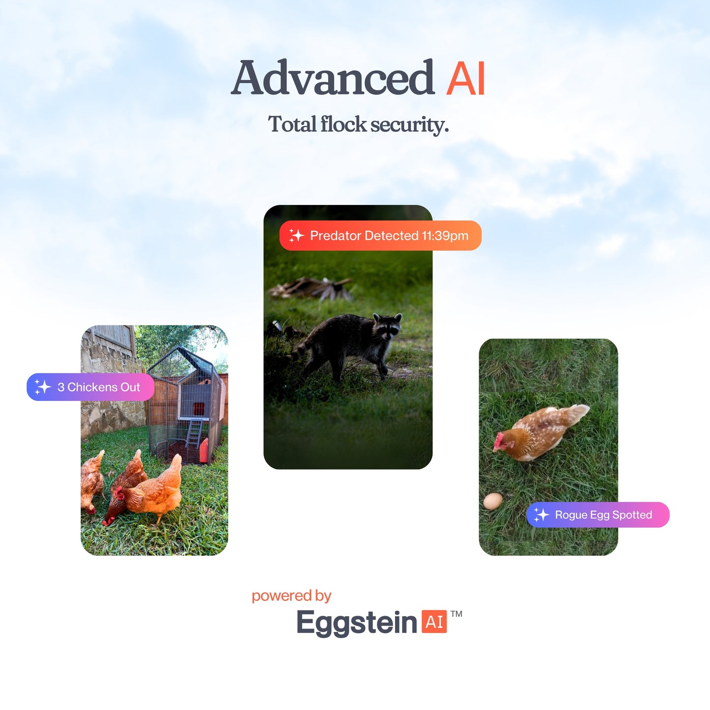 Smart CoopCam