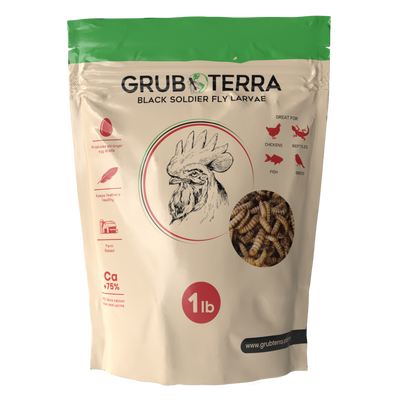 GrubTerra Dried Larvae Sample