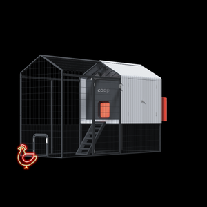 The Smart Coop + Steel Run