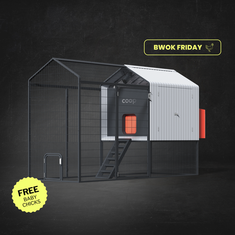 The Smart Coop + Steel Run