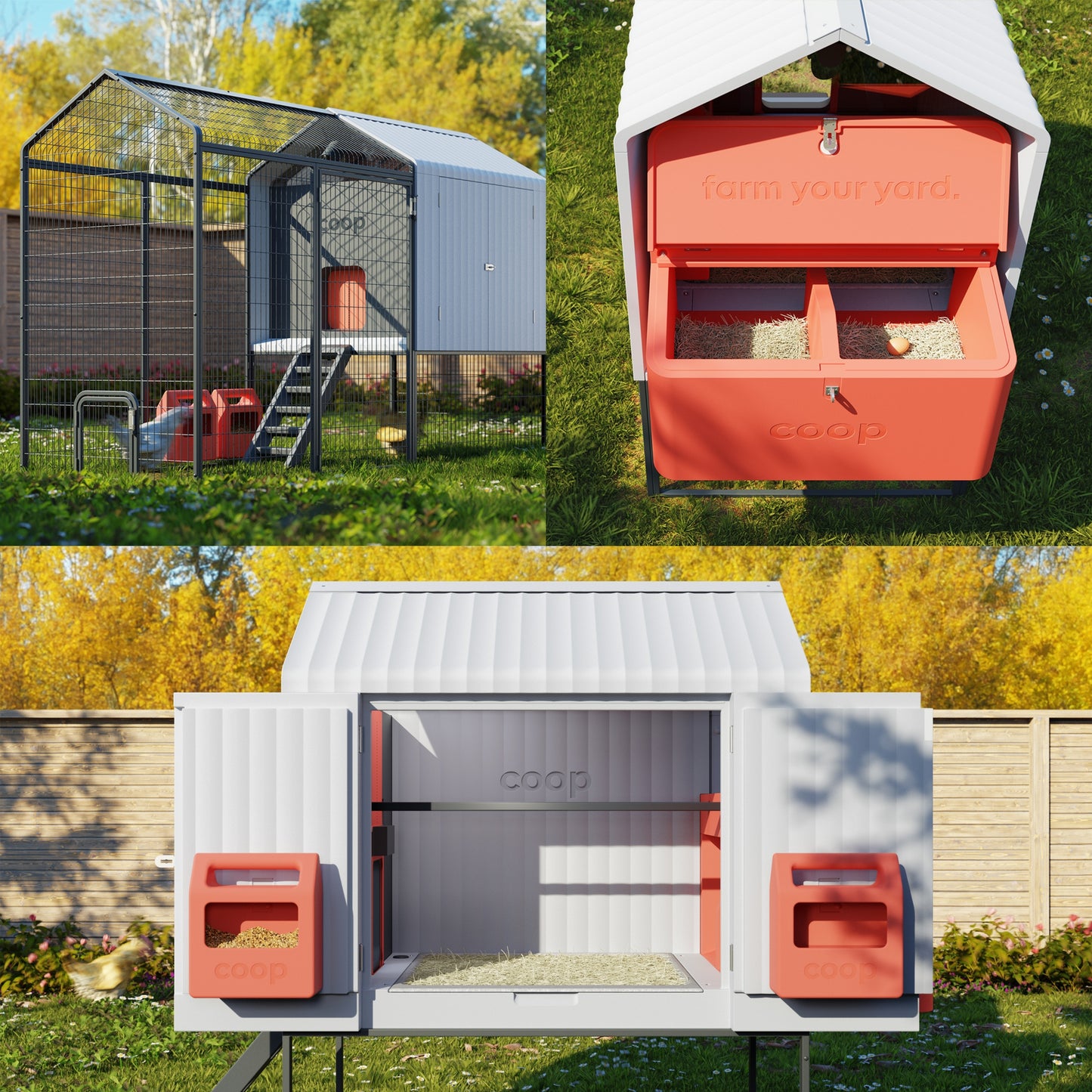 The Smart Coop + Steel Run (+ Free Chicks! 🐣)