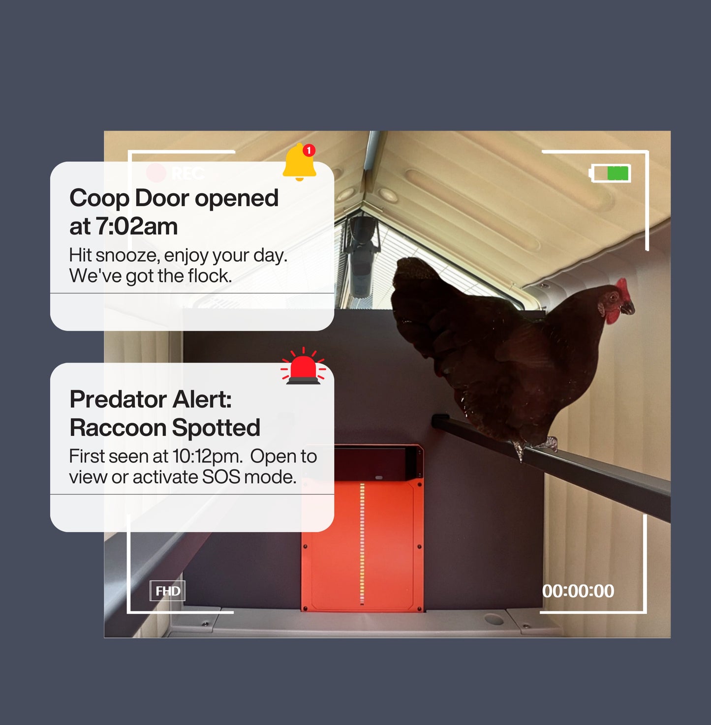 Smart Coop Kit image 4