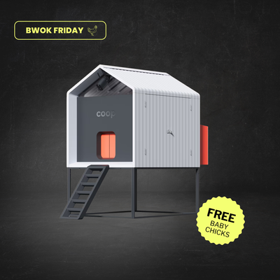 The Smart Coop + Base