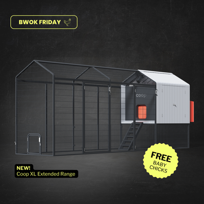 The Smart Coop + XL Steel Run