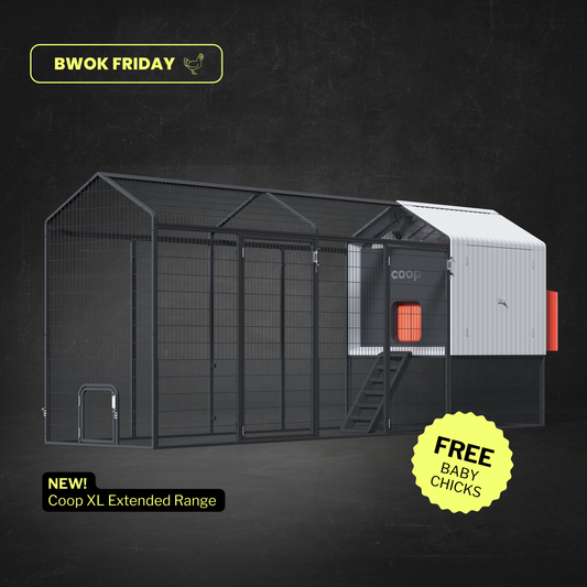 The Smart Coop + XL Steel Run