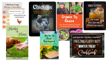 The Backyard Chicken Bundle