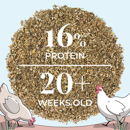 Big Flock Bundle | 2 Months of Organic Feed, Grit & Oyster Shell for 20 Layer Hens