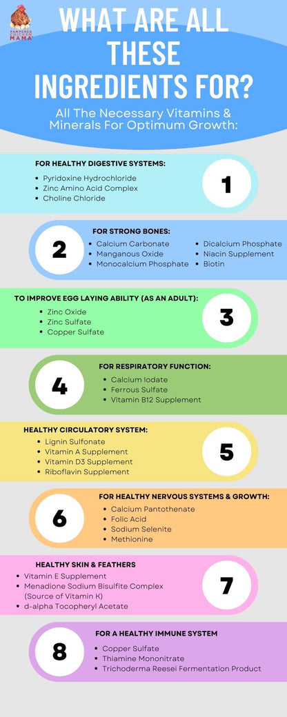 Herbal Chick Starter & Grower Feed With Oregano & Garlic For Baby Chicks