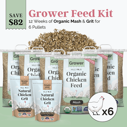 Grower Feed Kit | 12 Weeks of Organic Feed & Grit for 6 Pullets