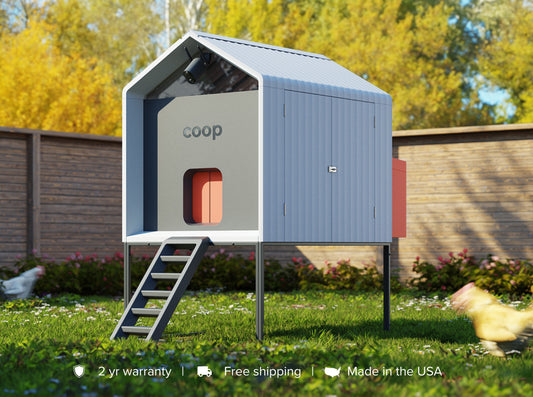 The Smart Coop 1.0 (Elevated Base Model) image 0