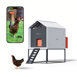 The Smart Coop + Base