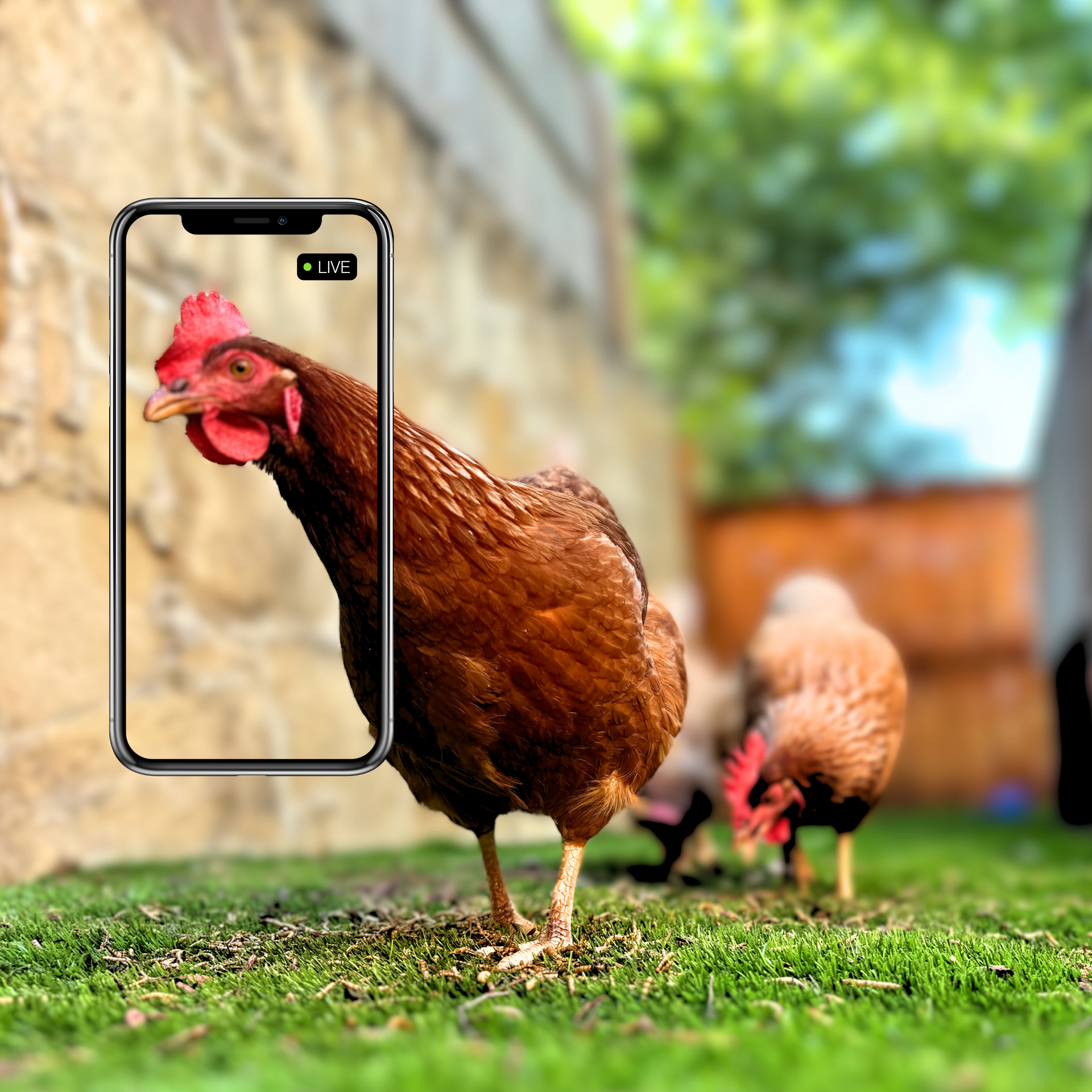 Shop All Feed Store