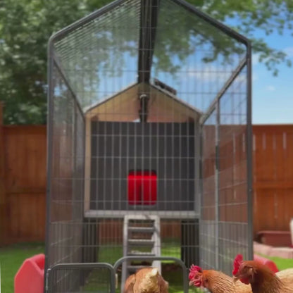 The Smart Coop + Steel Run (+ Free Chicks! 🐣)