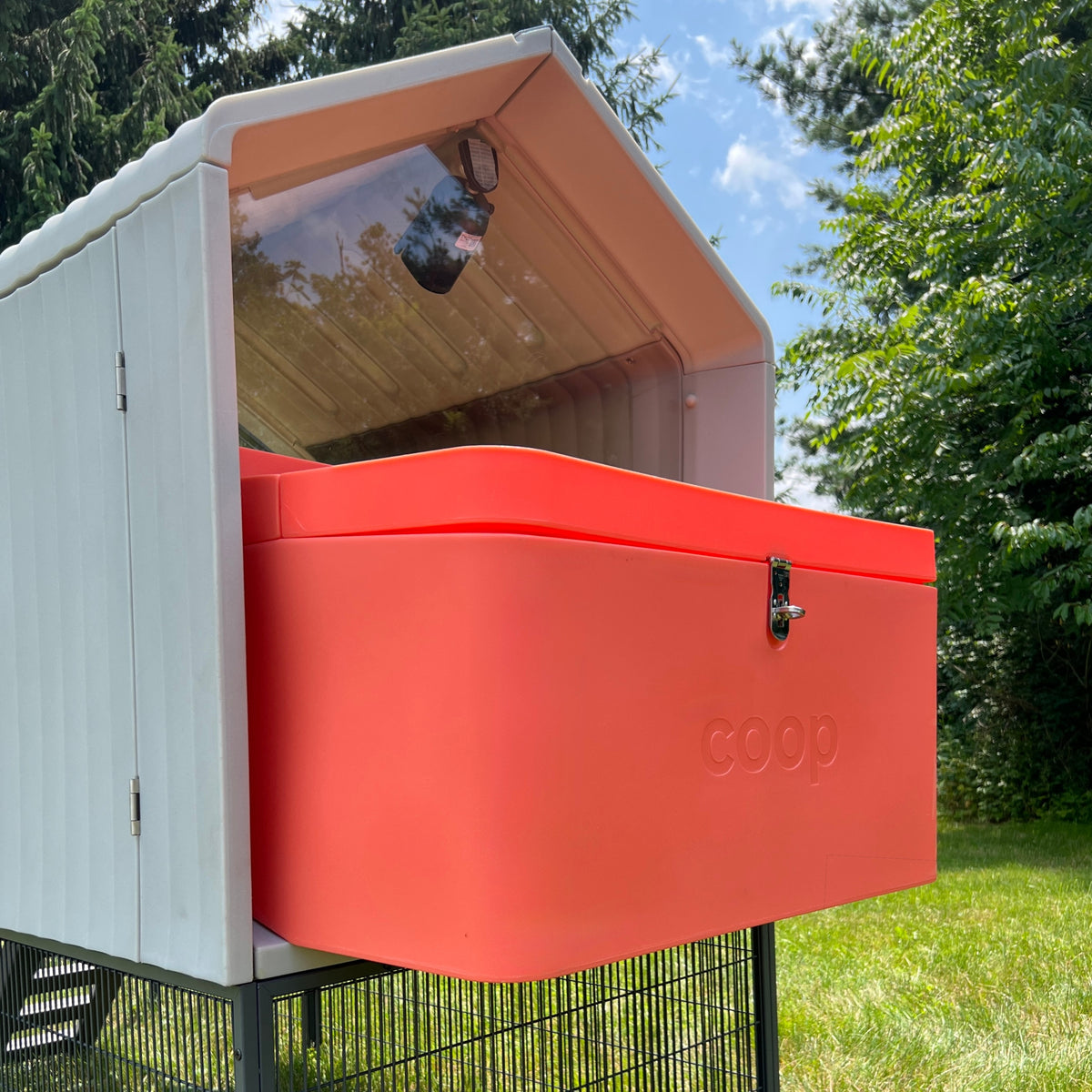 The Smart Coop Unlimited run and predator-resistant setup