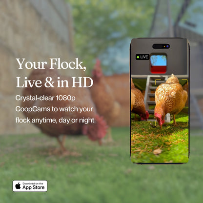 Smart CoopCam