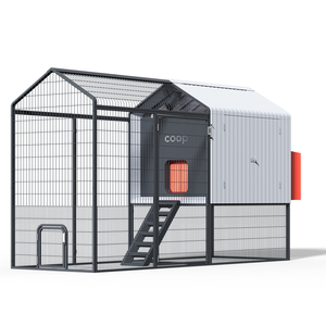The Smart Coop