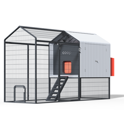 The Smart Coop