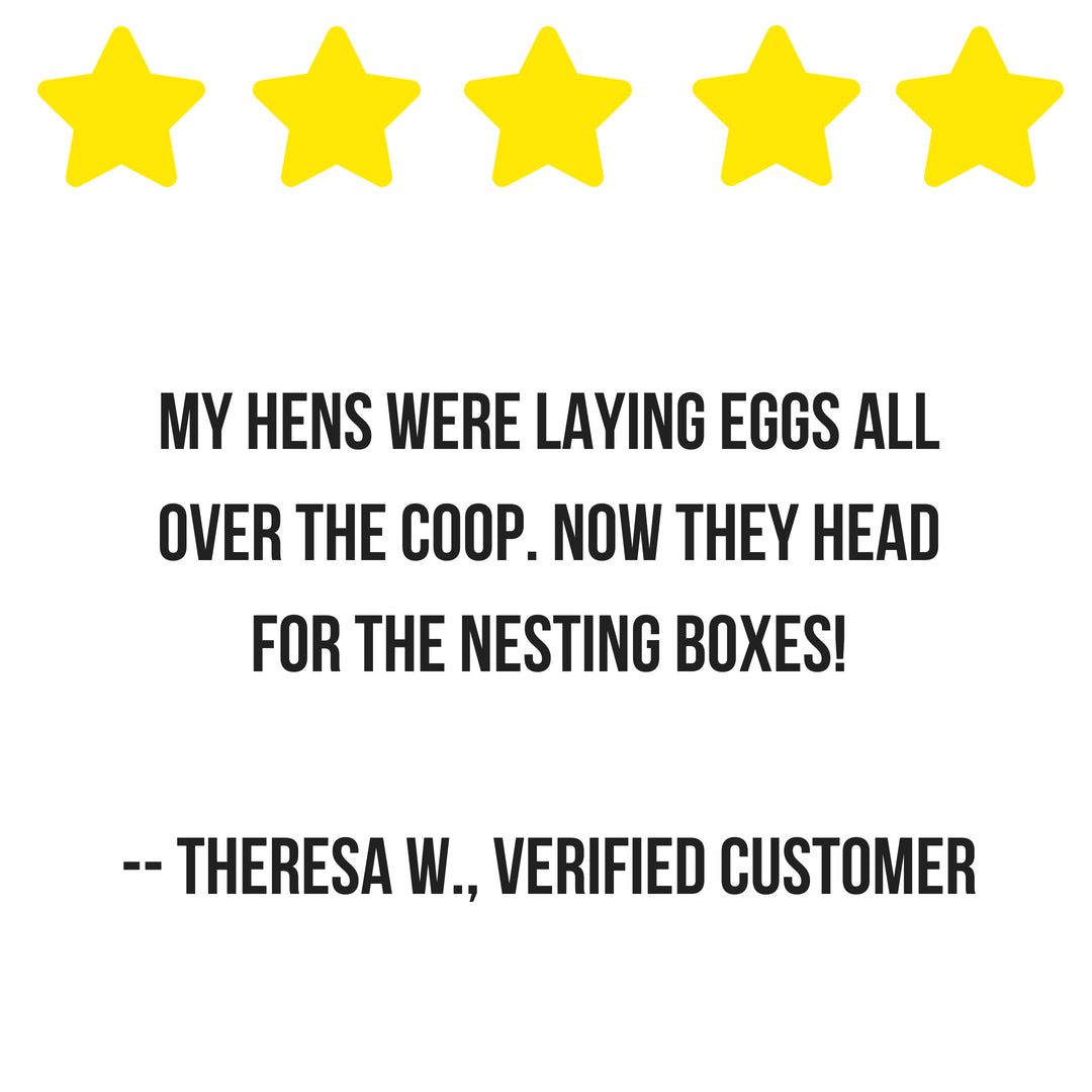 Scent of Spring Nesting Herbs For Backyard Chickens With Lavender, Chamomile, Calendula, and more!